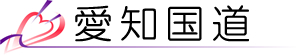 愛知国道